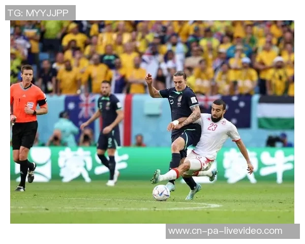 突尼斯足球队的崛起与挑战：从历史辉煌到未来展望的全景分析